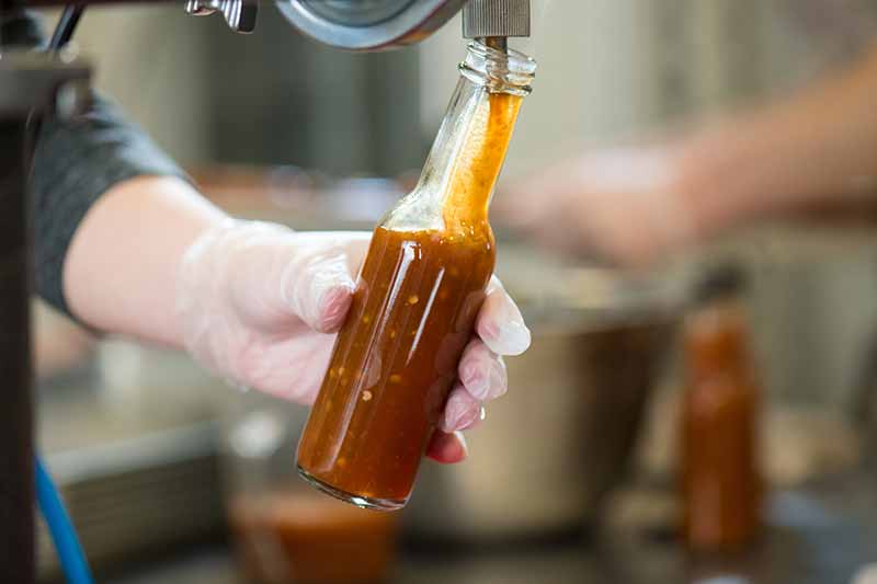 Butterfly Bakery pouring hot sauce into a bottle