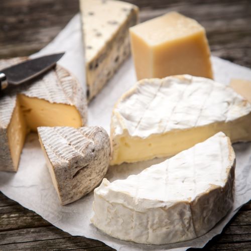 cheese stock photo