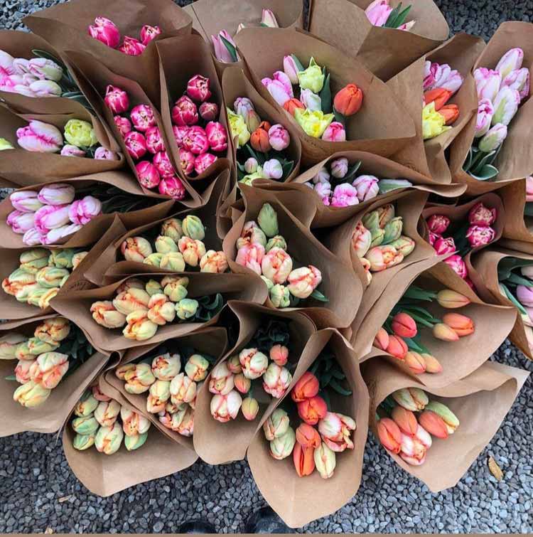 von trapp flowers tulips