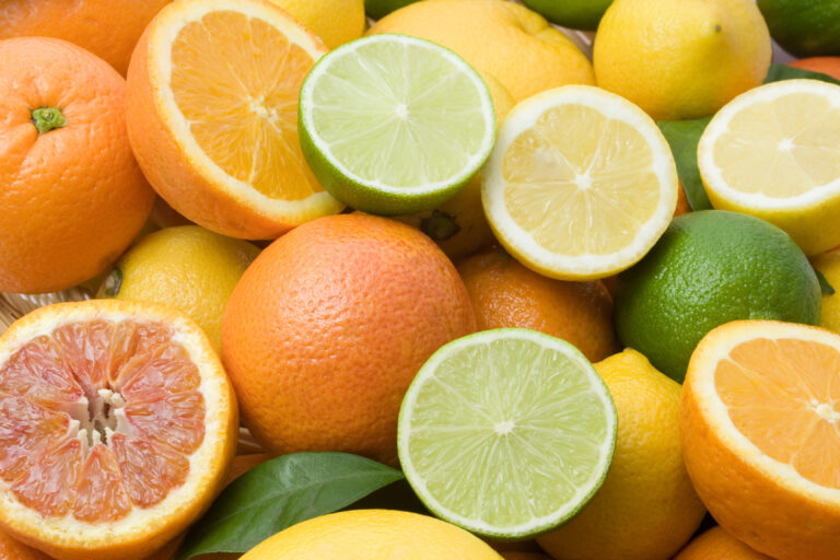 citrus stock photo