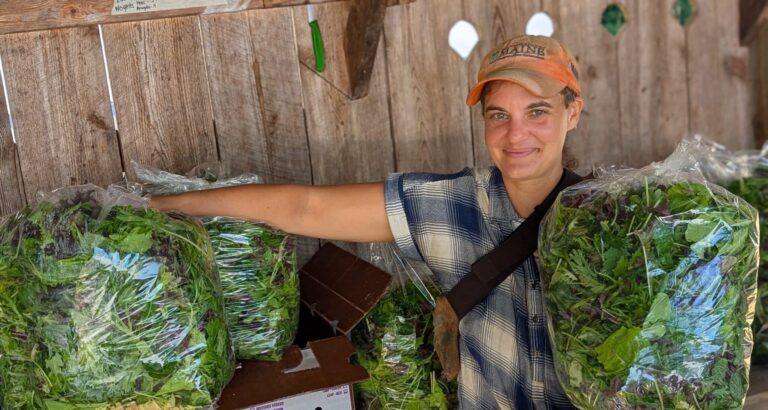 Ansel of Flywheel Farm