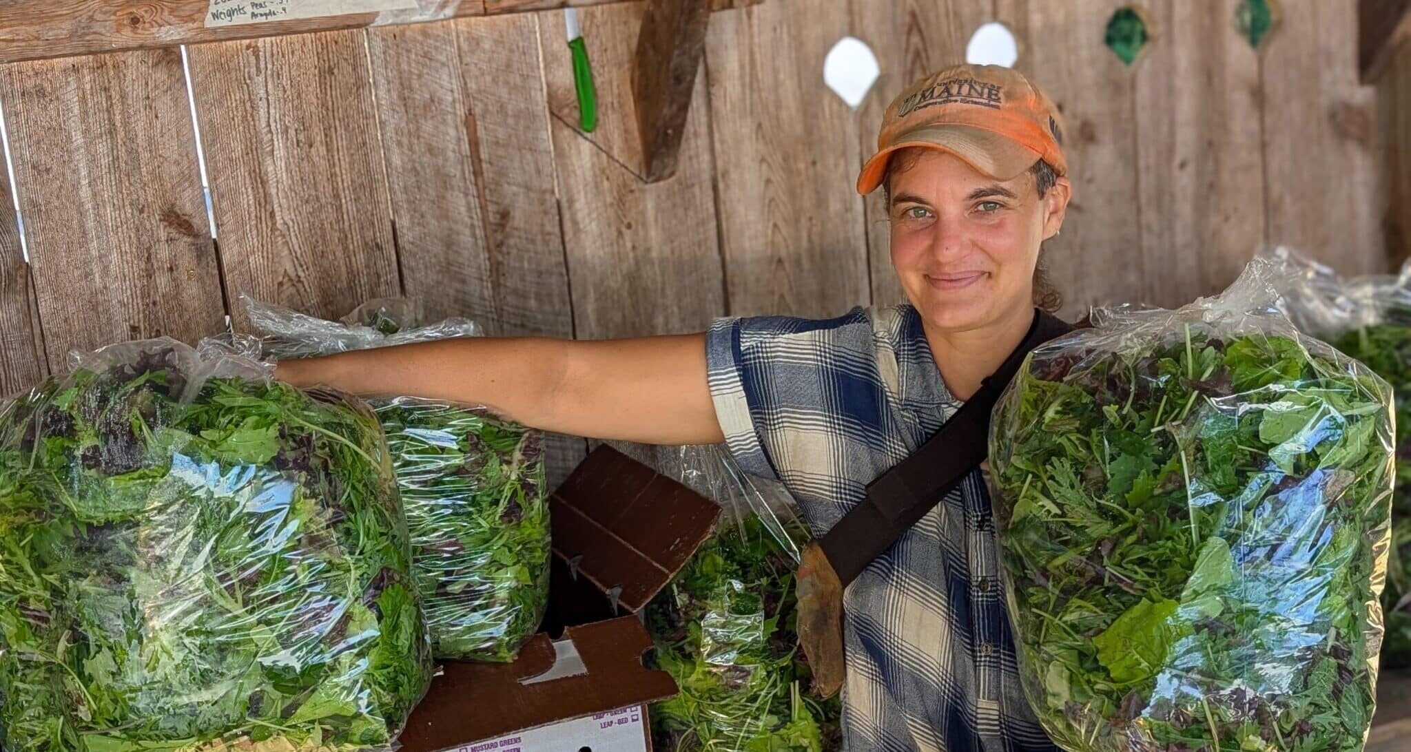 Ansel of Flywheel Farm