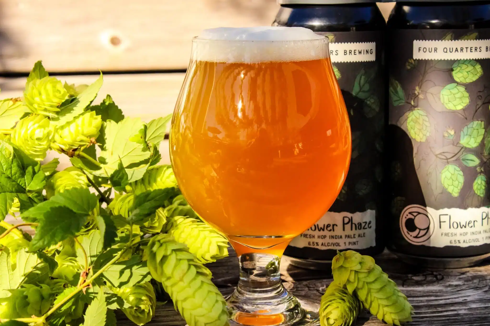 A glass of beer resting between fresh hops and bottles of four quarters beers